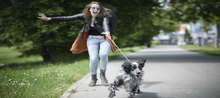 How to Stop Your Dog from Pulling on the Leash